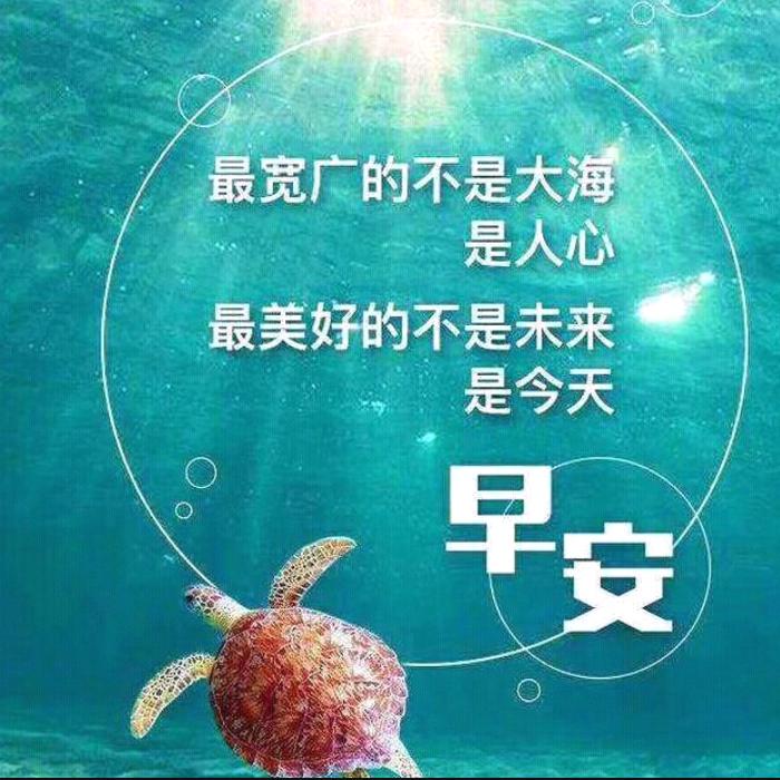 寂寞的花草