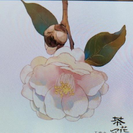 夕阳