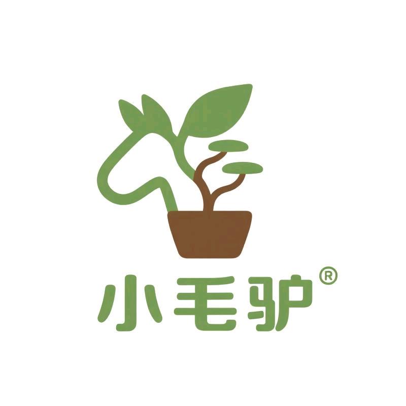 骑小驴上高速