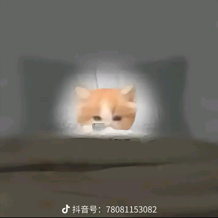 红辰（10月16日21：20首播）