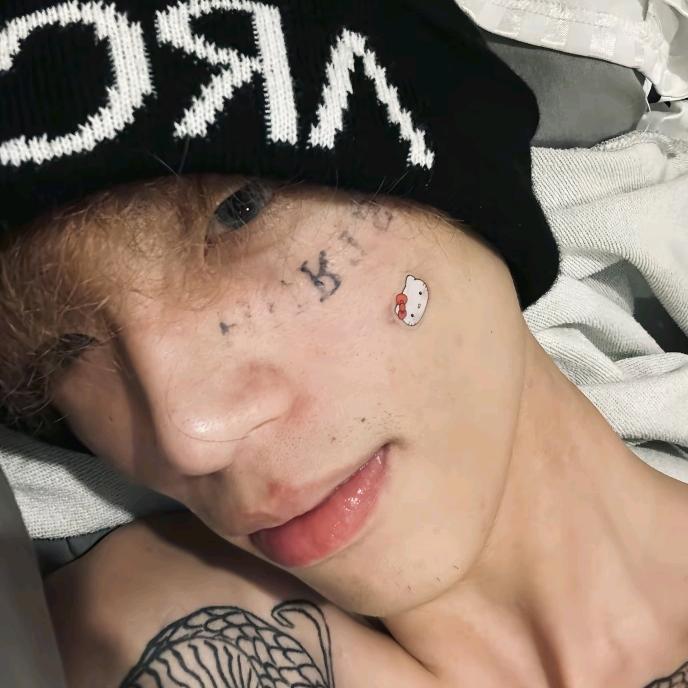 泰迪精