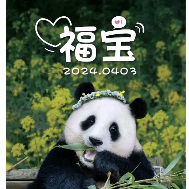 小生姜