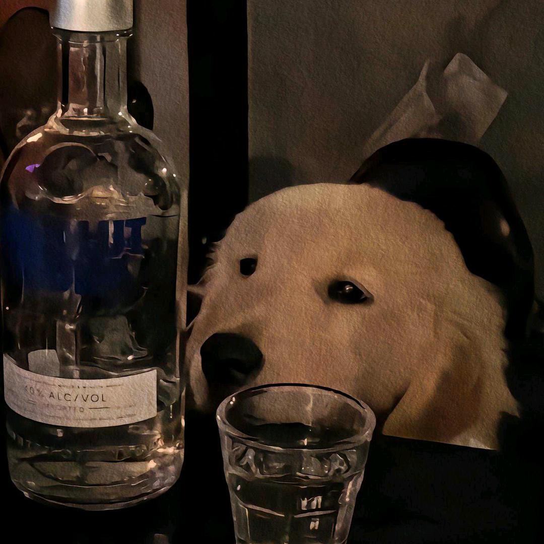 壹贰叁肆