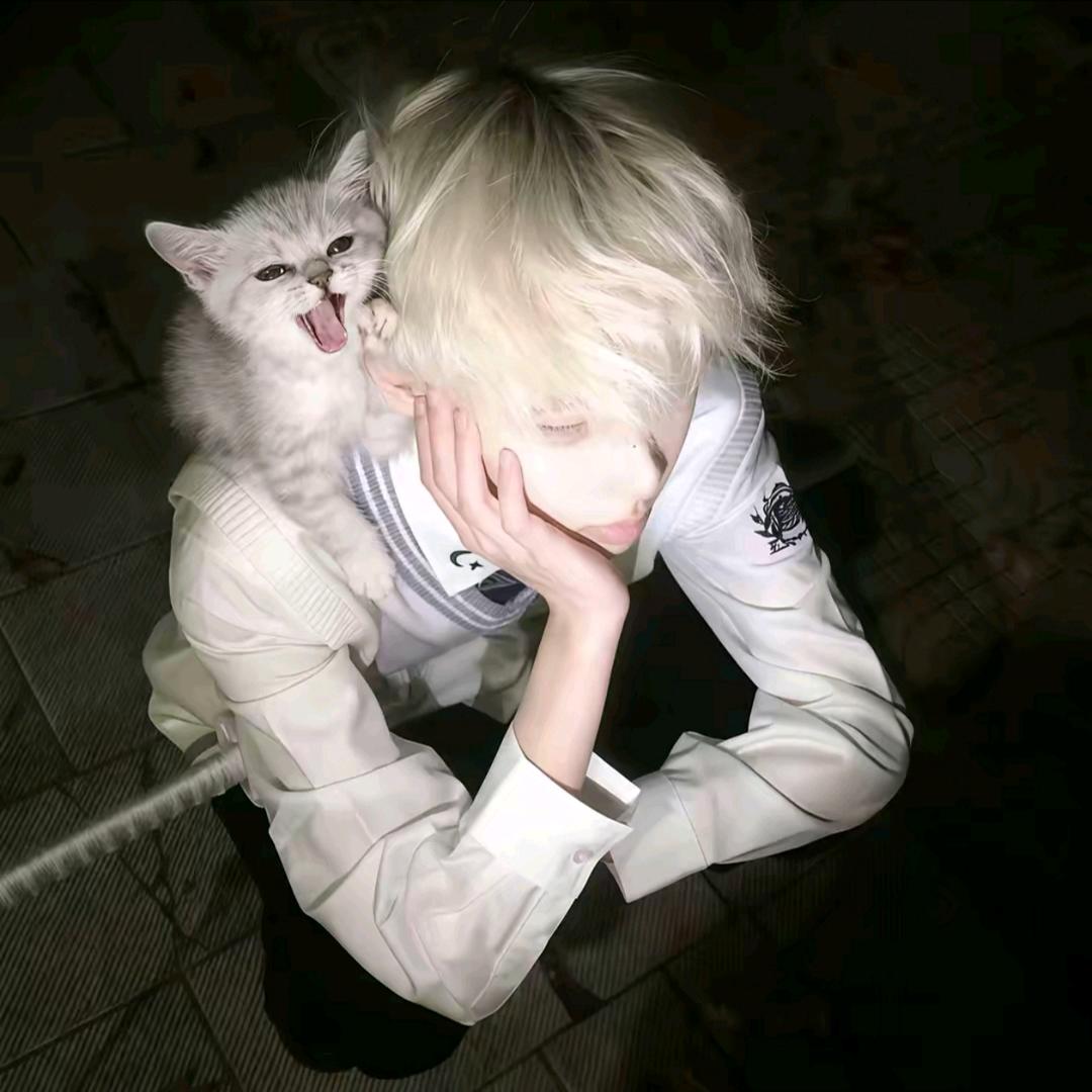 不要