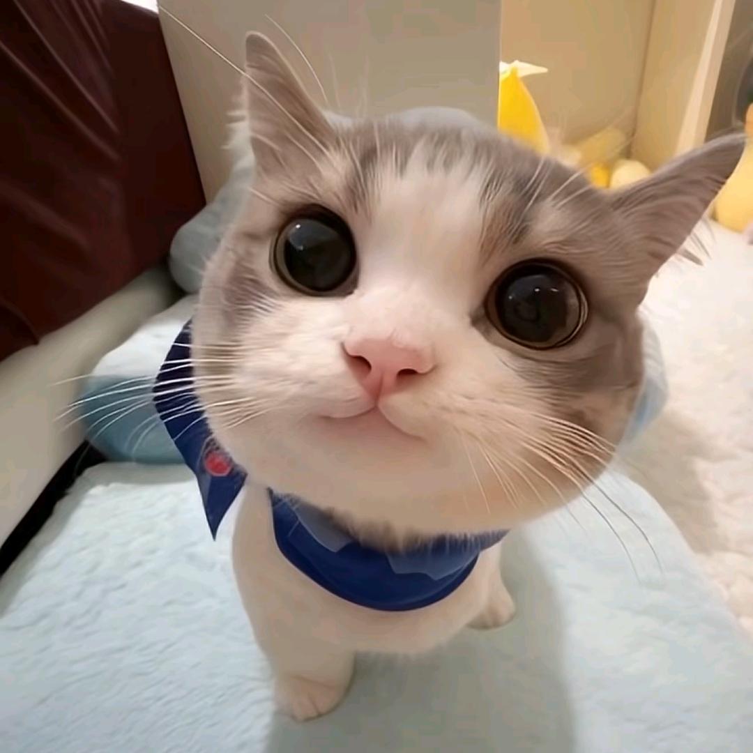 秋风
