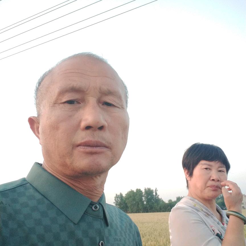 新发禽业批发零售