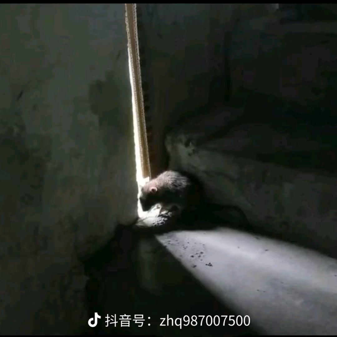 醉酒为友