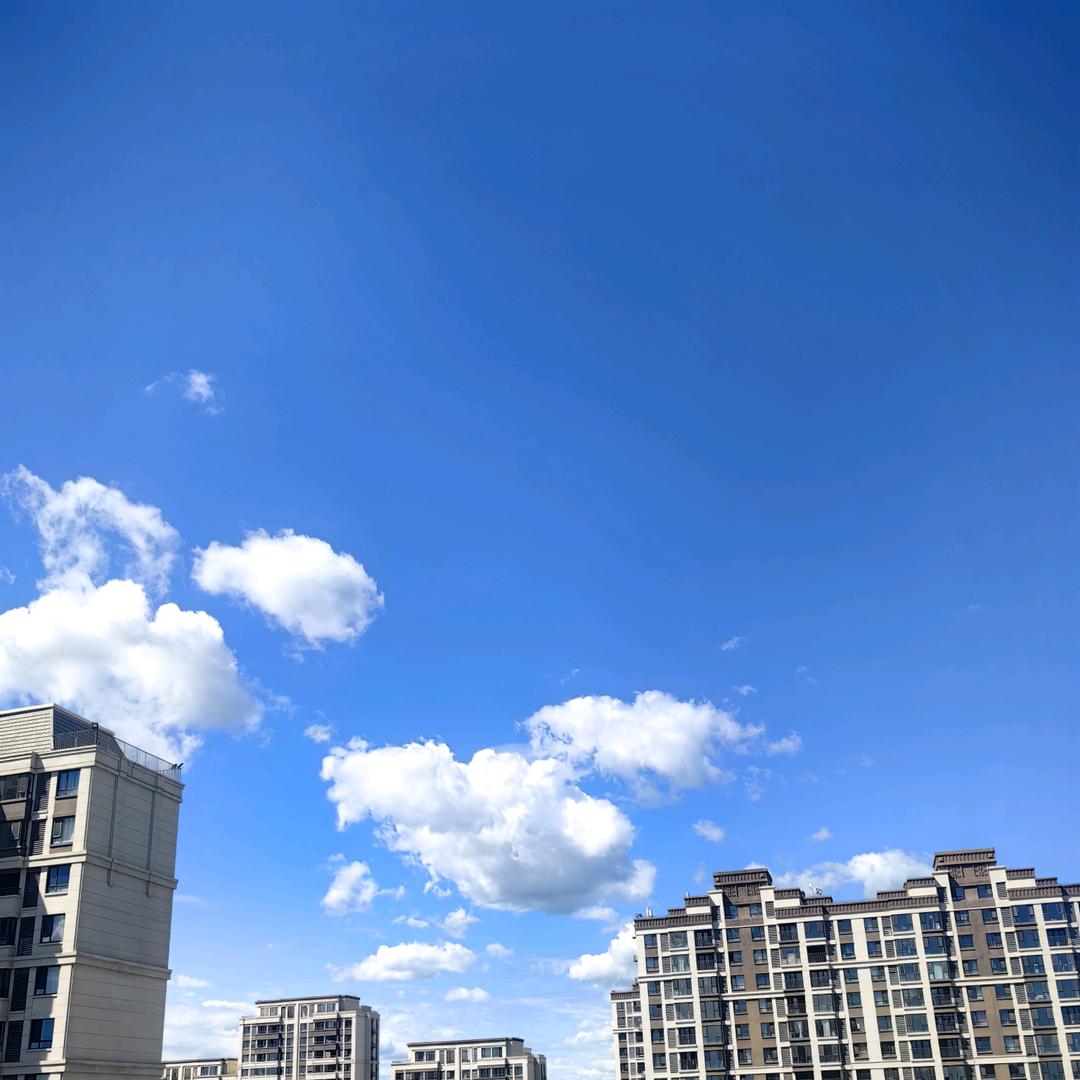 小羊不吃草