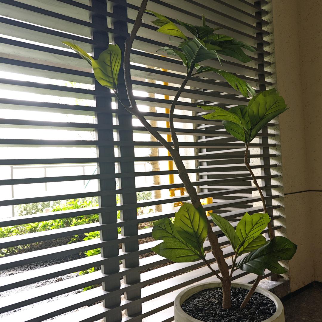 云淡风轻山川明净