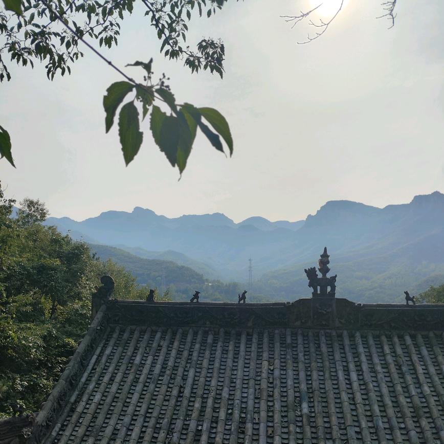风无痕