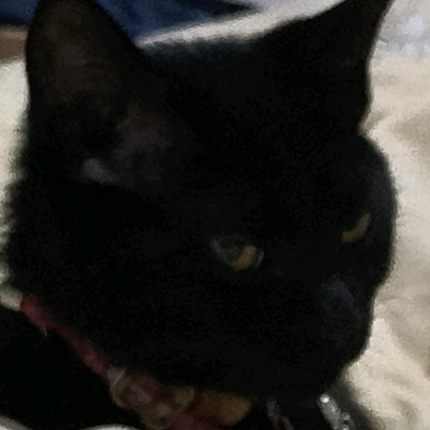 你什么时候陪我爬泰山