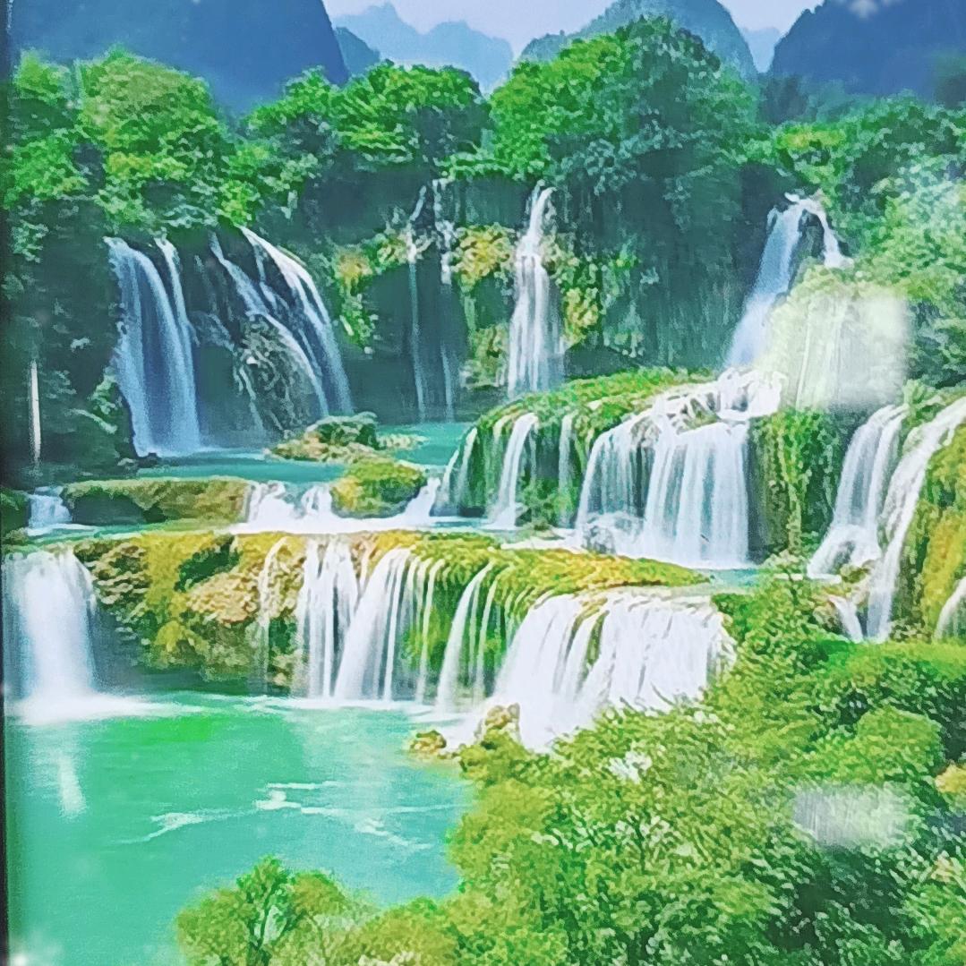 东台丰歌小韩蔬菜甄选