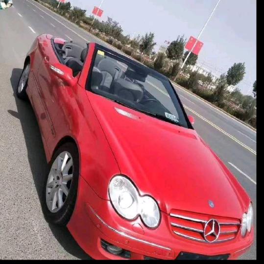 🌲🌲🌲🌲🌲🌲🌲🌲