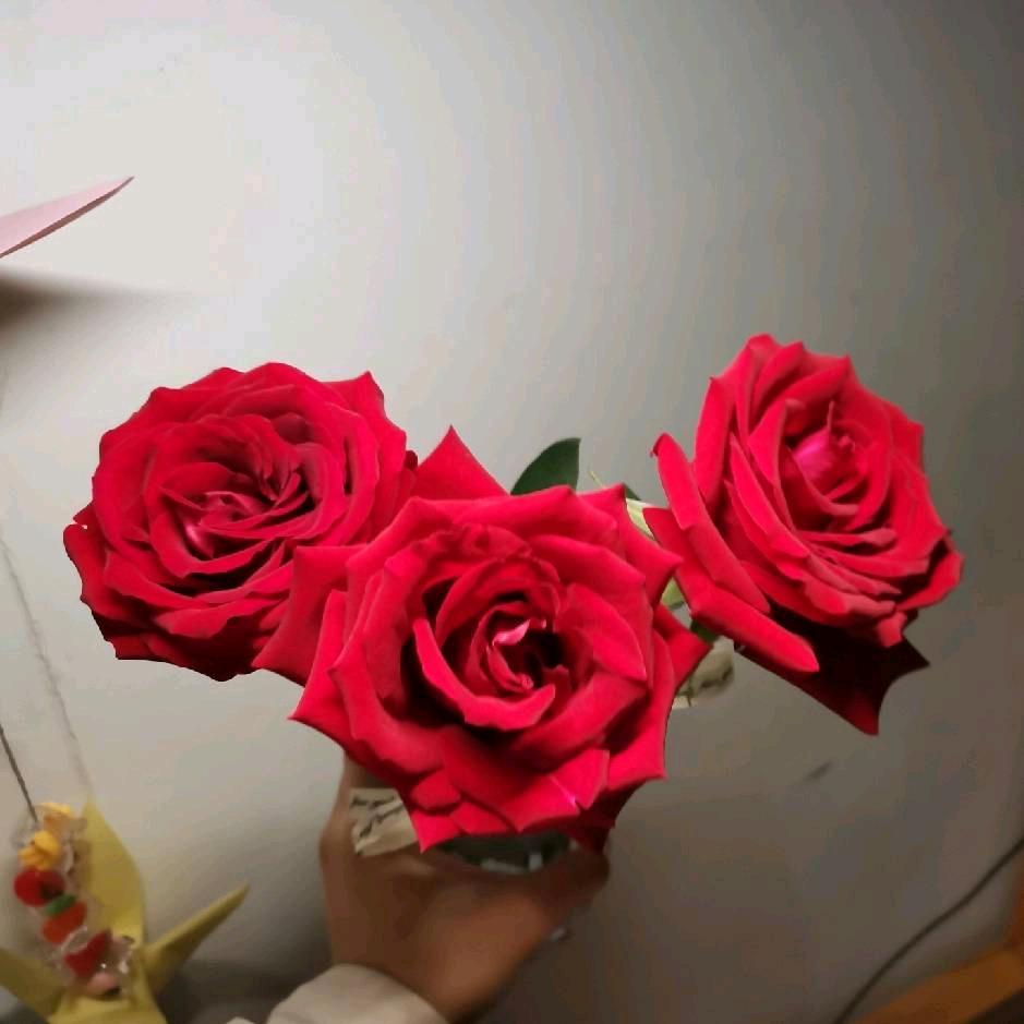 诚若我爱我家《拒绝私聊》 （拒绝连点）