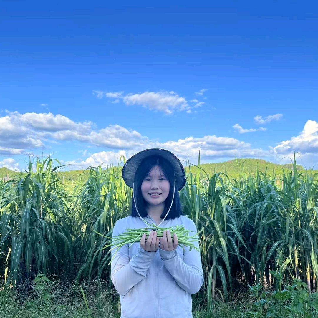 瓜瓜乐