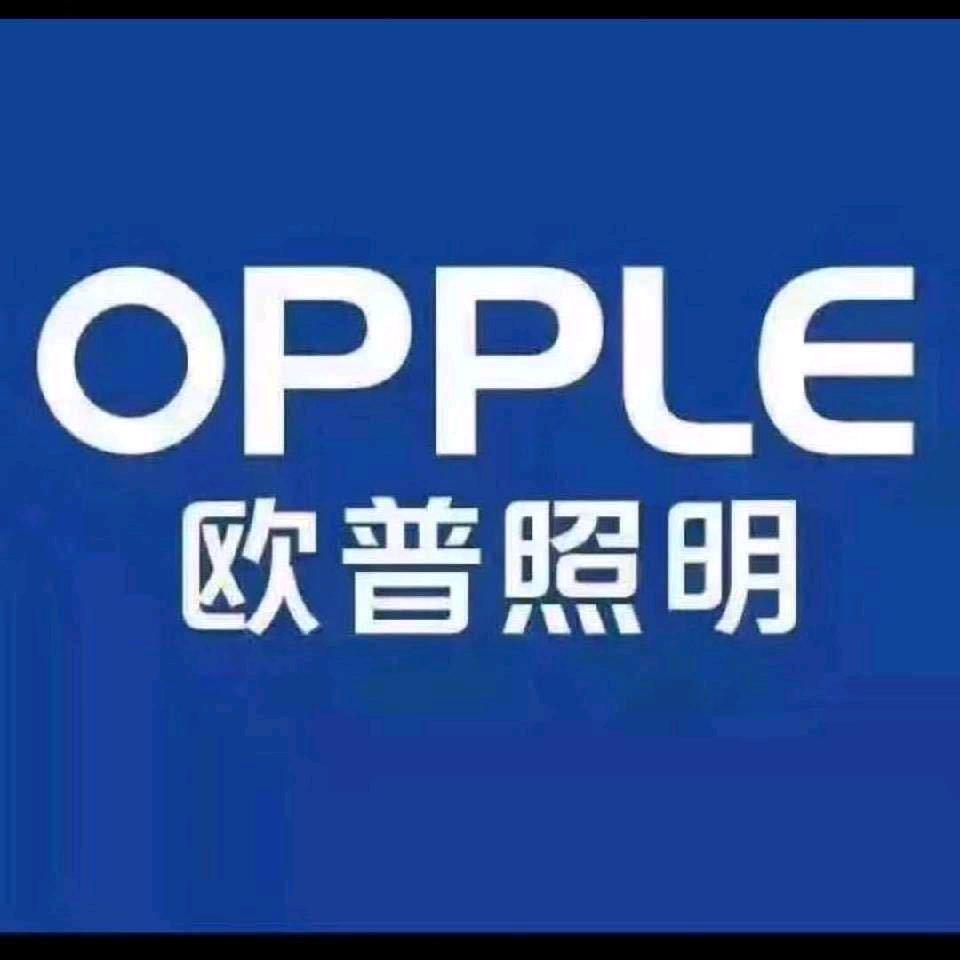 欧普照明（路丰家居生活广场负一楼）
