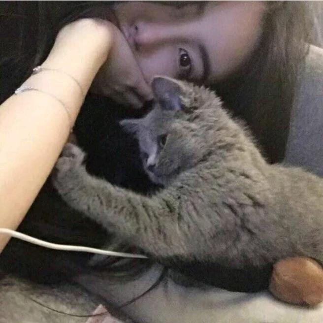 黑猫不睡