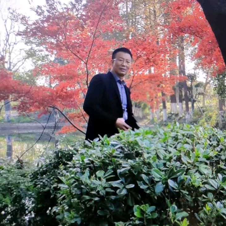 芸哥（晚20点52分首播）