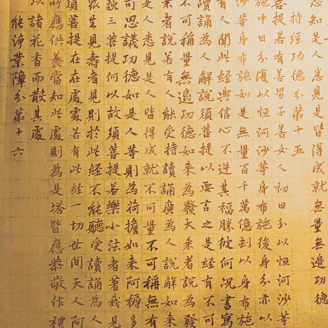 抄经生朋朋