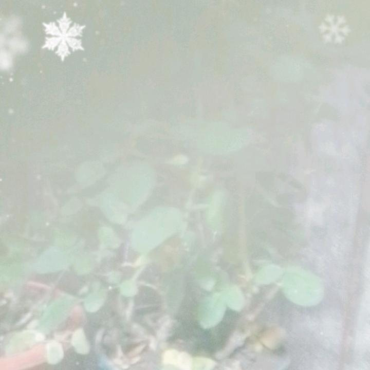 人生奋斗