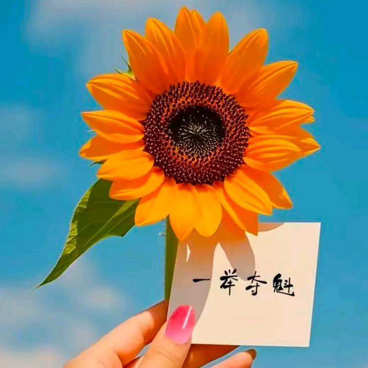 木子彩绘·快乐加倍🌸🌸