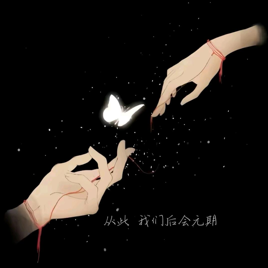 天南地北，我迪最美