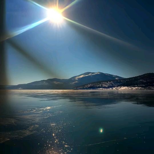 恰似惊鸿落人间.