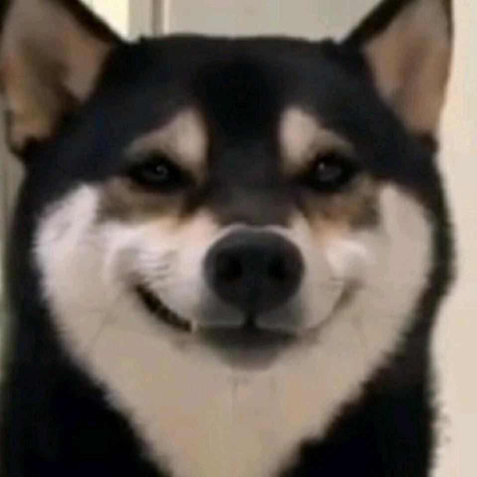 路过的涩狗罢了