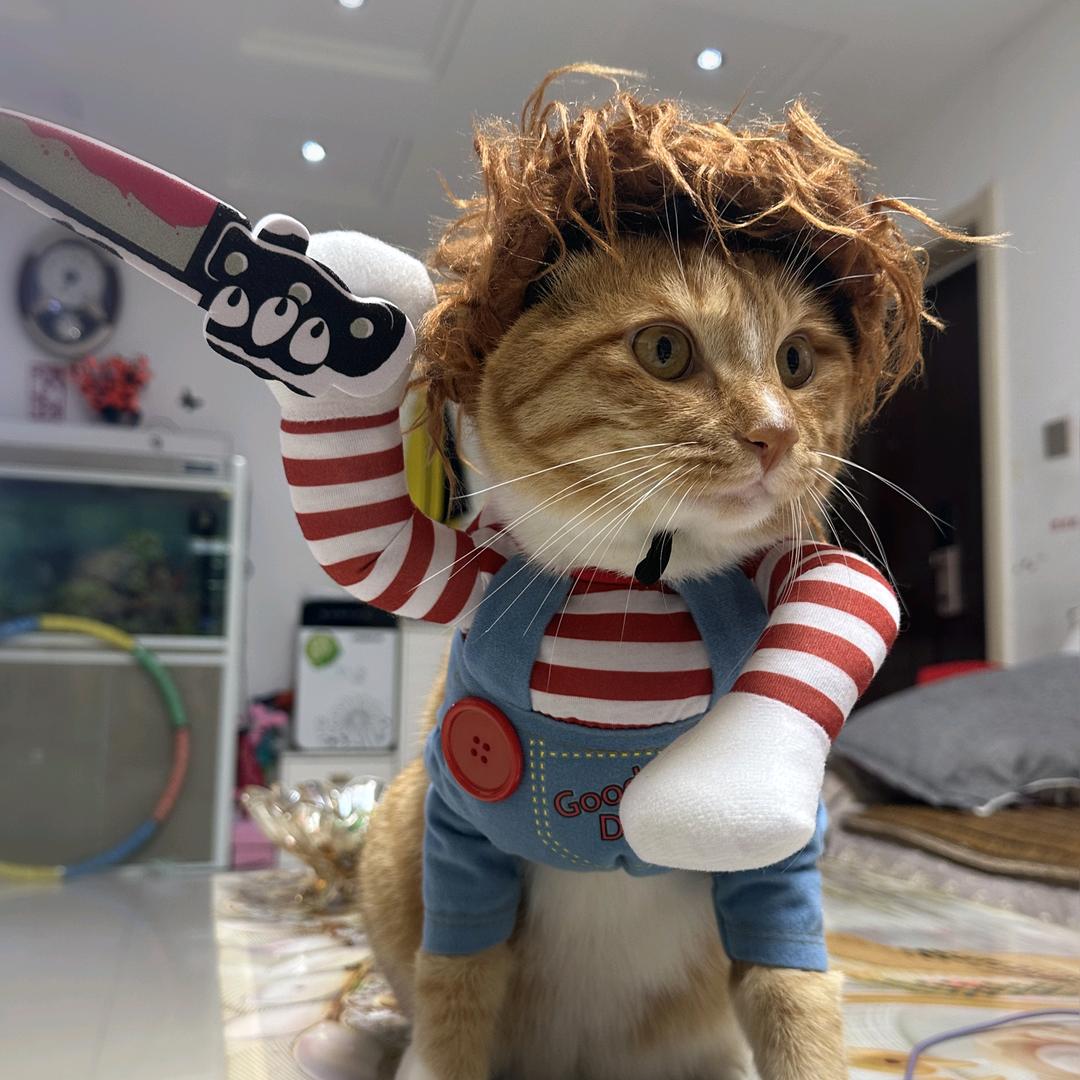 爱吃臭咸鱼的加菲猫