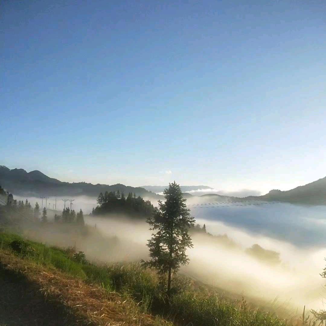 啊峰