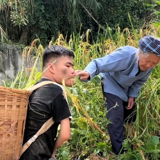 生活不会辜负努力的人