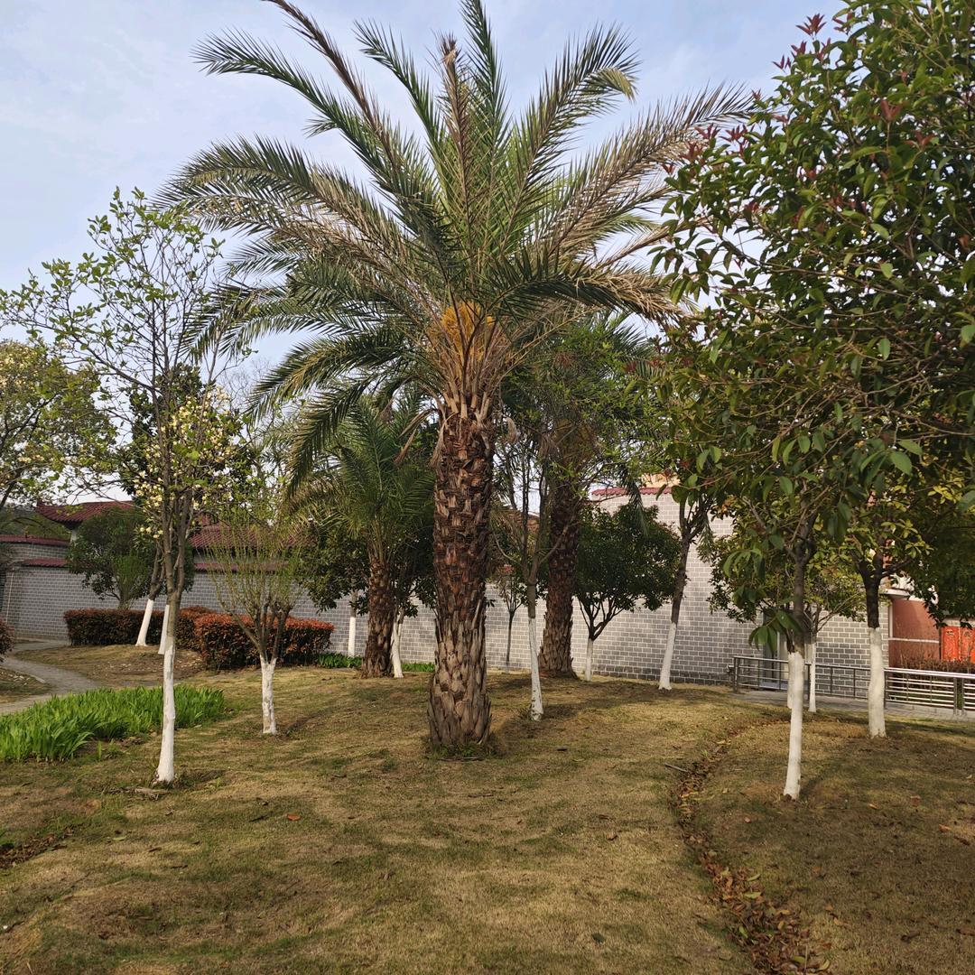 ♥开心就好 (ᐥᐜᐥ)♡︎ᐝ