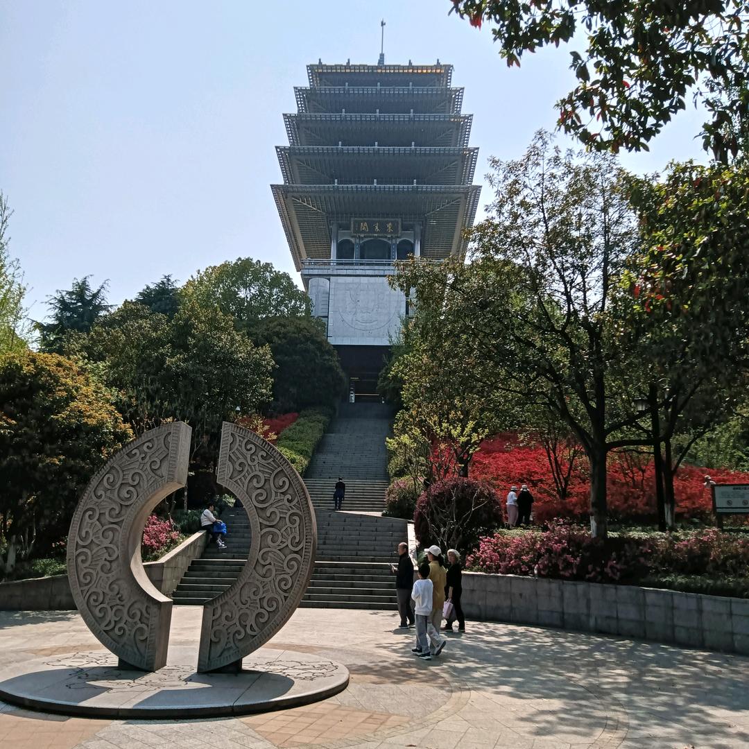 杨树