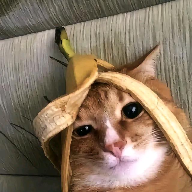 齐载澧
