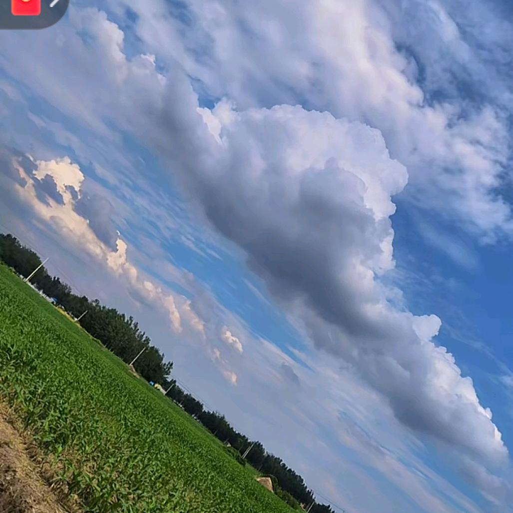 大约在冬季❄️