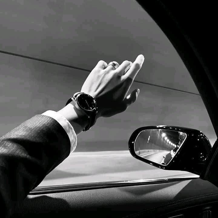 陌路贤晨