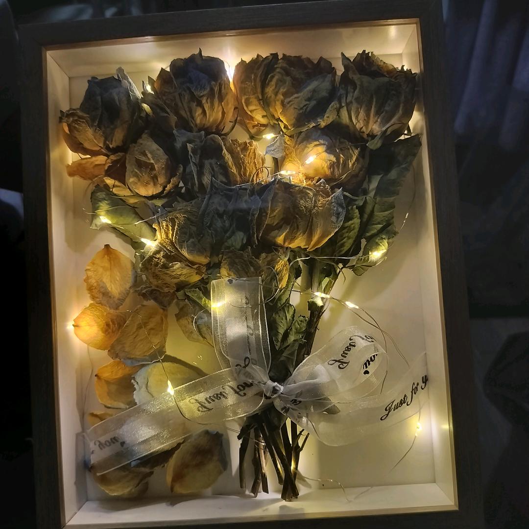 爱唱歌的笨笨