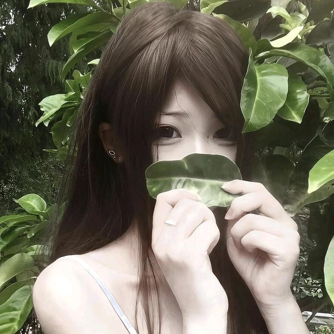 淸