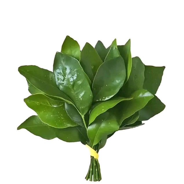 怎？？