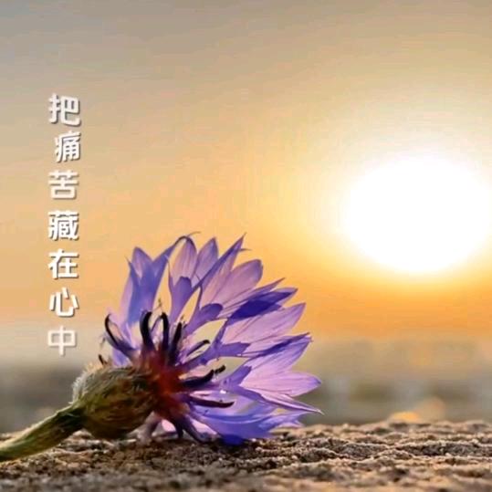 错💔付