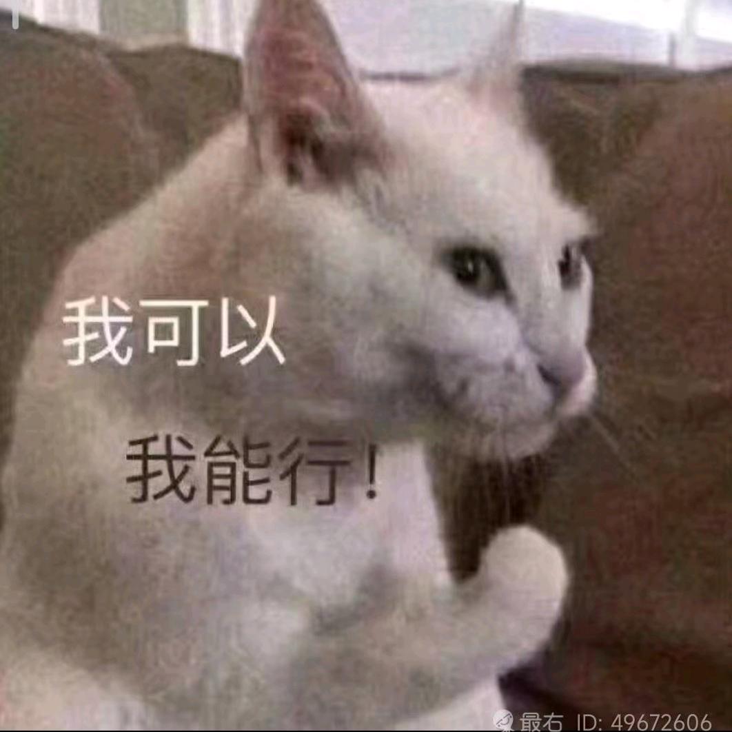 今天努力了吗