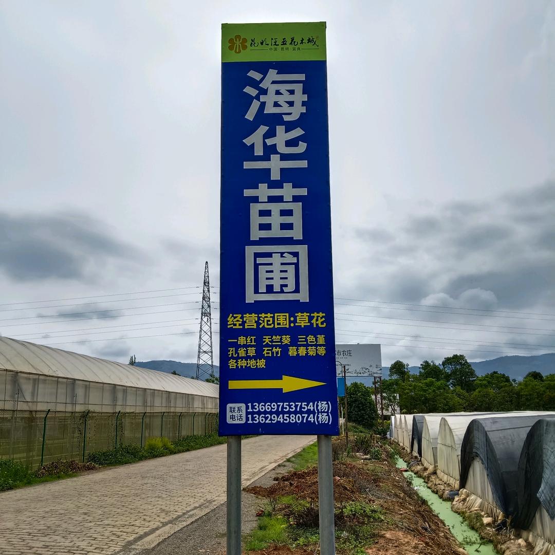 宜良海华苗圃杨先生