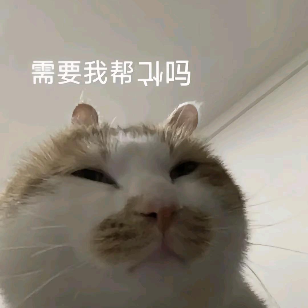 我没想帮倒忙