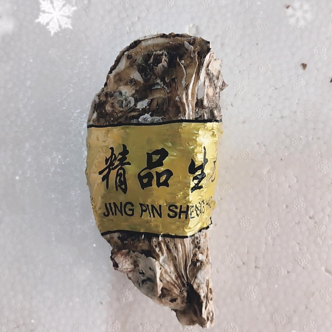 蚝之家生蚝水产