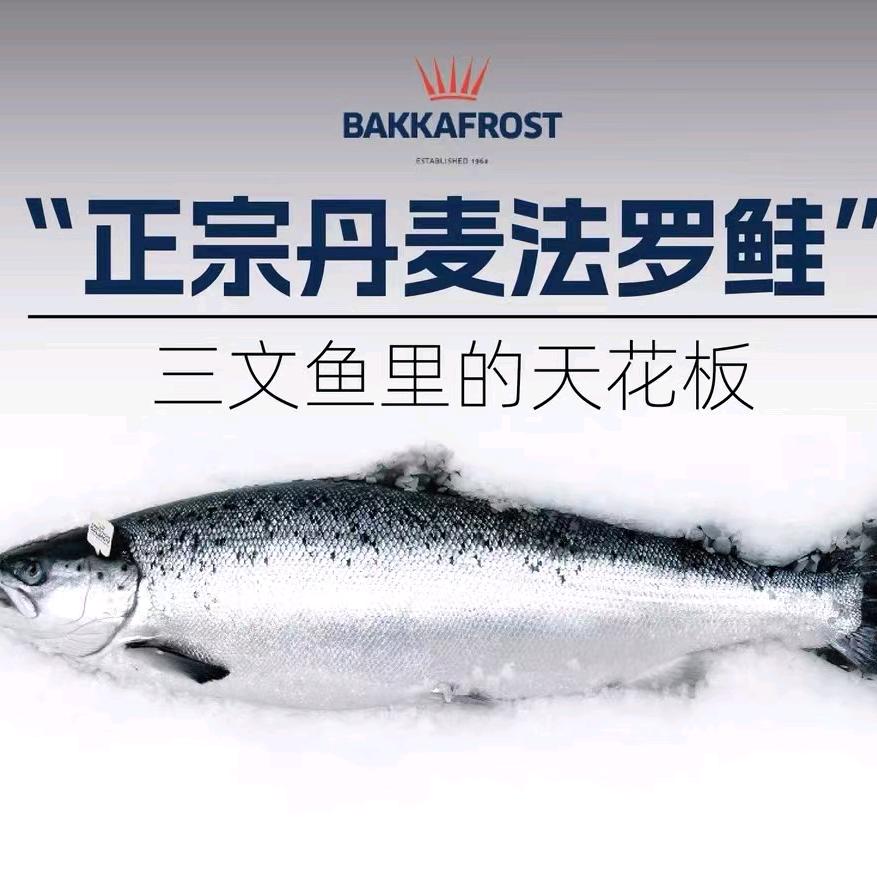 ＆搞钱要紧＆