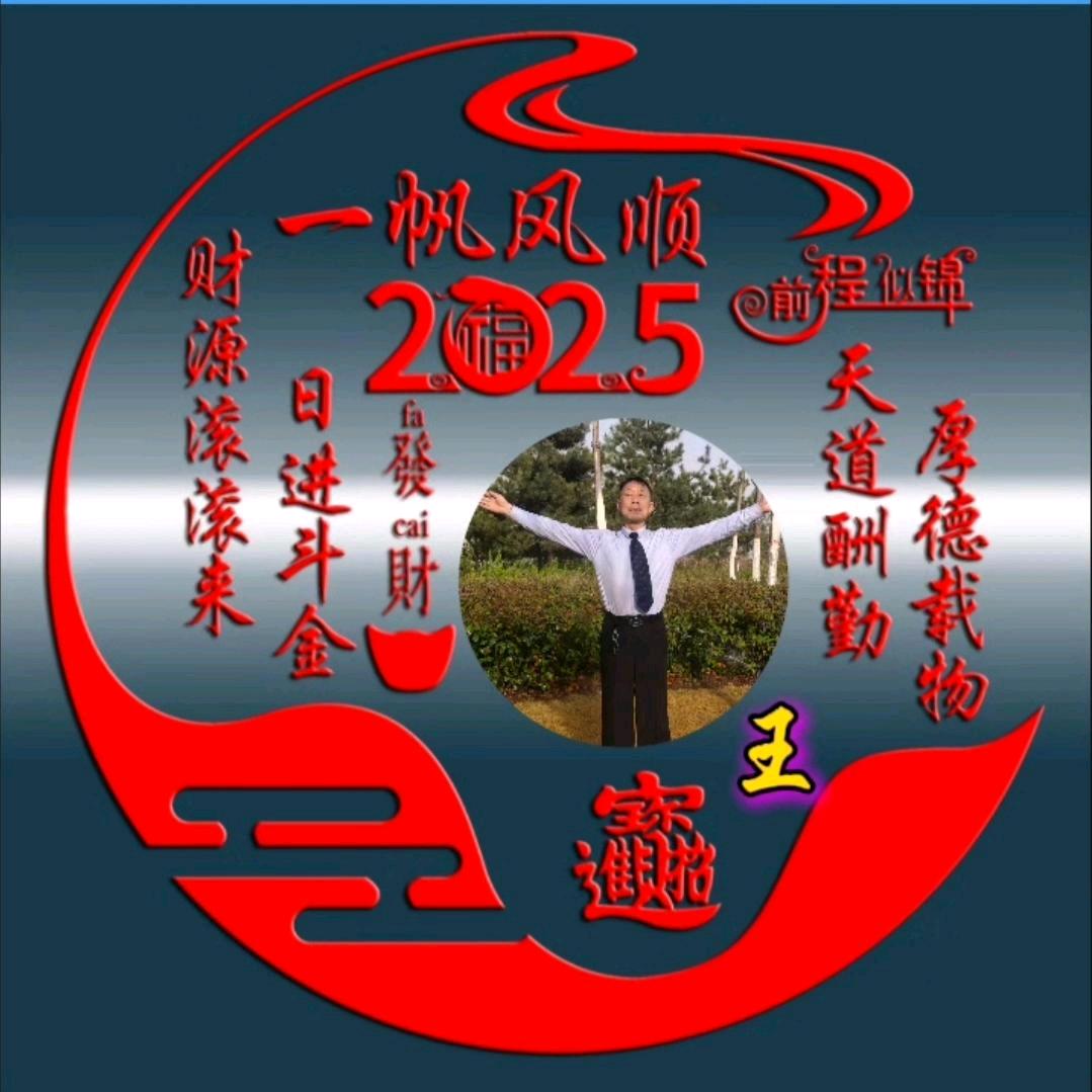 卫星  皮特