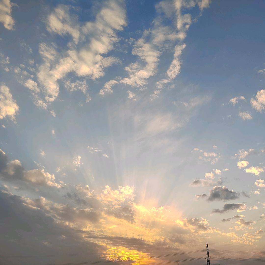 🐾晴空万里🐾
