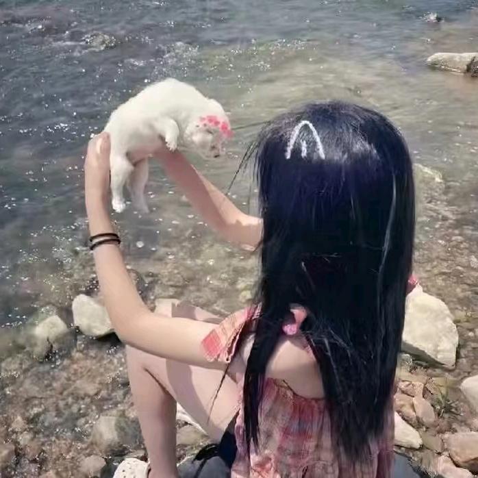困困⌯'ㅅ'⌯