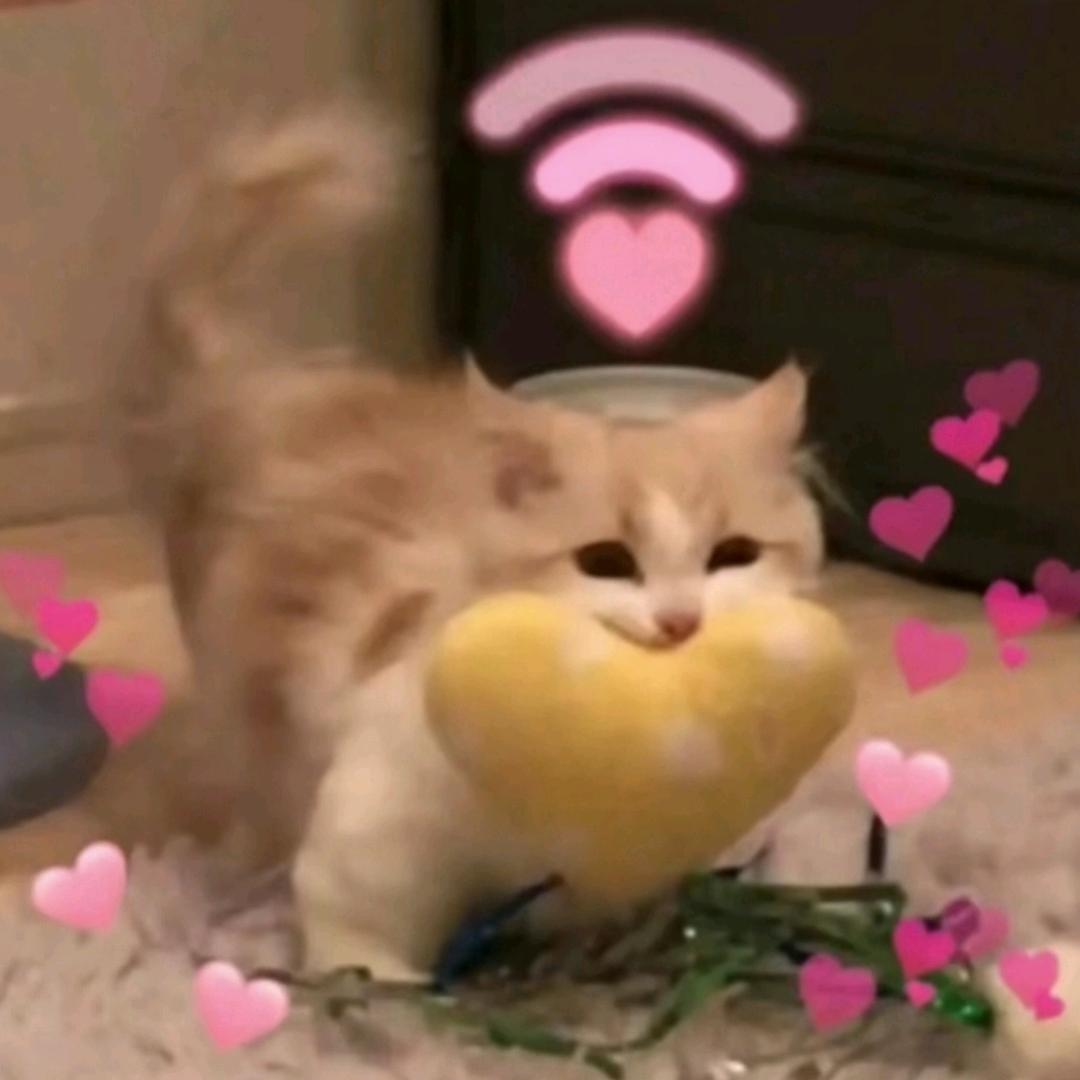 小桃儿🍑