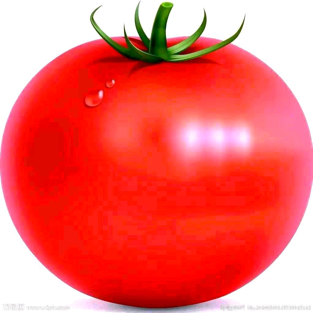 誠信贏天下